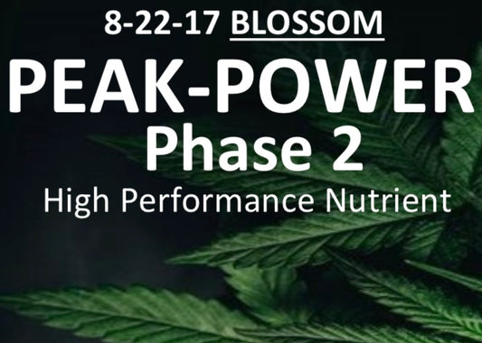 Phase 2 Blossom nutrient 1/3 pound bag/makes 60 gallons